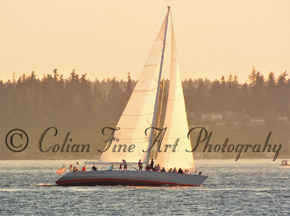 sailboat-westpoint-2584 (2)