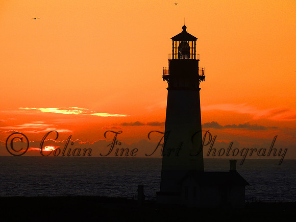 Yaquina Head LH sunset, OR -(metal)