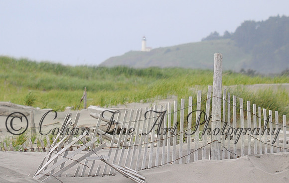 North Head LH from Cape Disappointment park