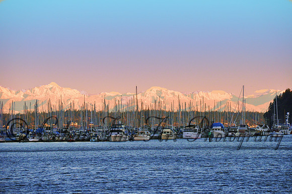 oly bay fx1a copy