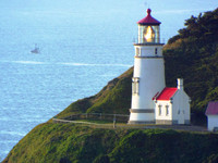 Heceta Head-fx1-0274