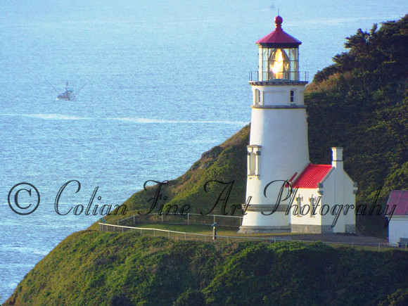 Heceta Head-fx1-0274