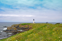 Yaquina lh fx1_0315 (2)