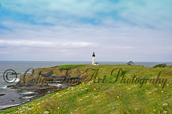 Yaquina lh fx1_0315 (2)