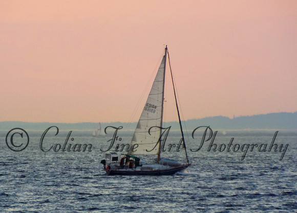 sailboat-westpoint-2621