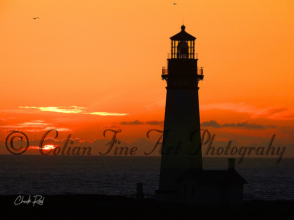 Yaquina Head fx1-2160-sign