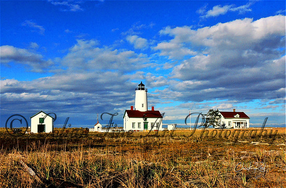 new dungeness lh-3301 (2)-sign