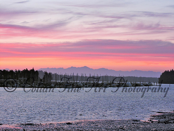 Oly Harbor & Olympics-1632 (2)