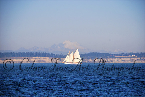 Sail boat-pt roberts_0094 (2)