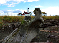 New Dungeness LH from beach