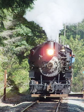 Train-6817