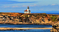 cape arago resized_0163 (4)