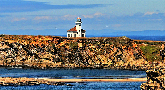 cape arago resized_0163 (4)