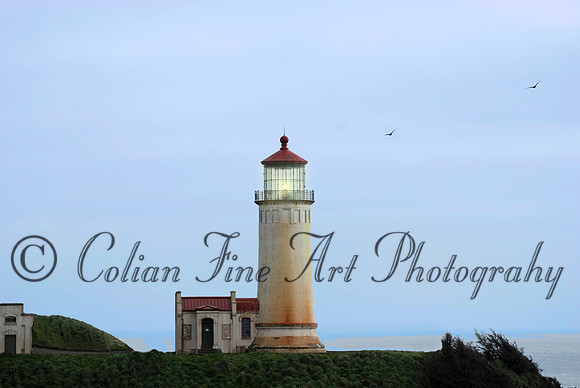 north head