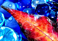 fall leaf-fx1-resize-1416