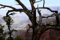 Grand Canyon_0123fx