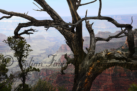 Grand Canyon_0123fx
