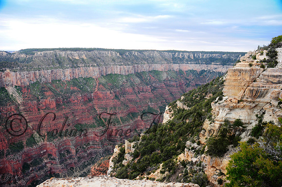 Grand Canyon_0116fx