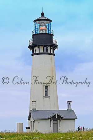 Yaquina lh- fx1_0219 (2)