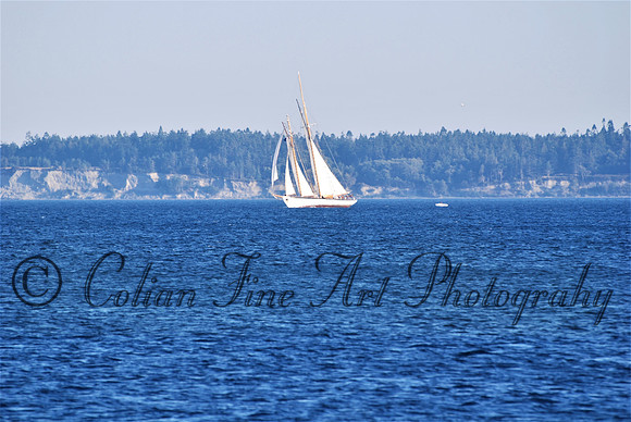 sailboat-pt roberets_0072 (2)