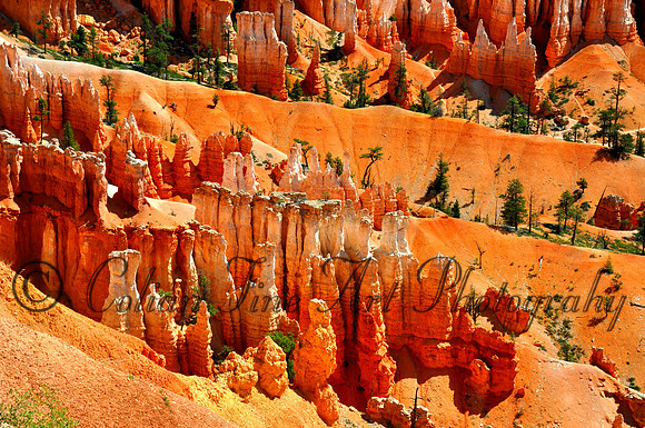 Navajo Loop_0090