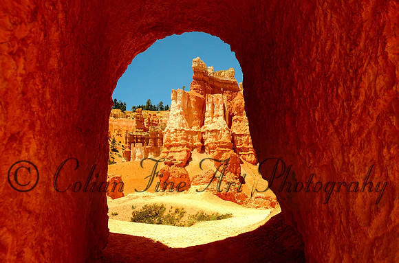 Bryce look thru-