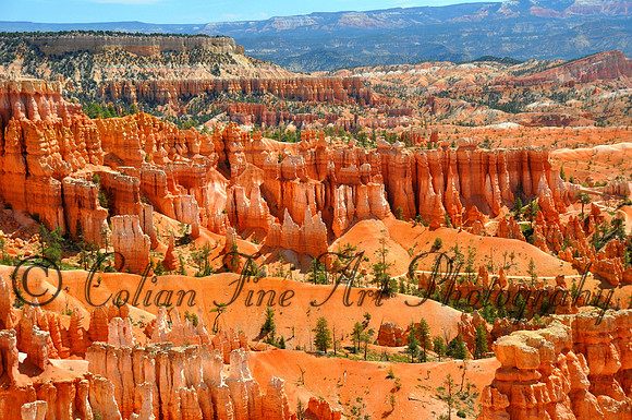 Navajo Loop_0089