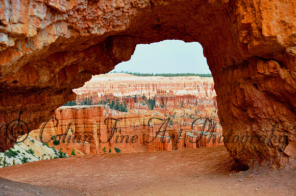 Navajo Loop look thru-0130
