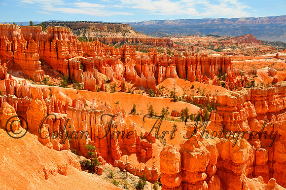 Navajo Loop_0092