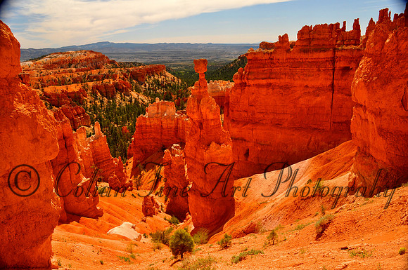 Navajo Loop_0099