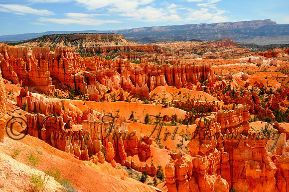 Navajo Loop-0087