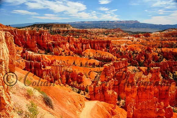 Navajo Loop-00088