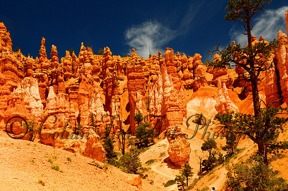 Navajo Loop-0189(2)