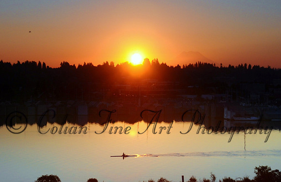 Rower fx1B_0004 - Copy (2)