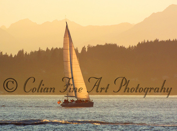 sailboat-westpoint-2591