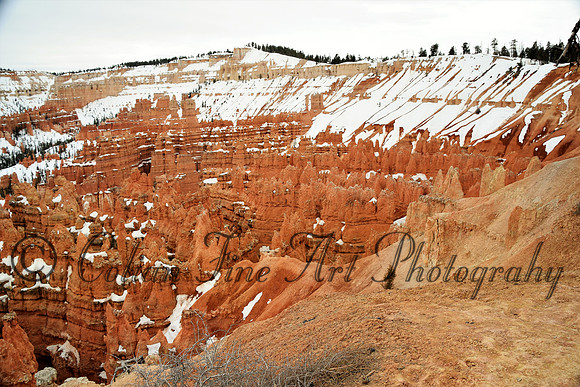 bryce-snow fx1_0292-d5300