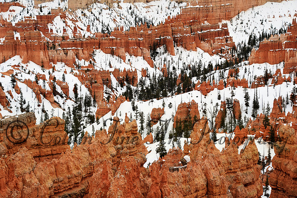 bryce-snow fx1_0277-d5300