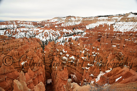 bryce-snow fx1_0294-d5300