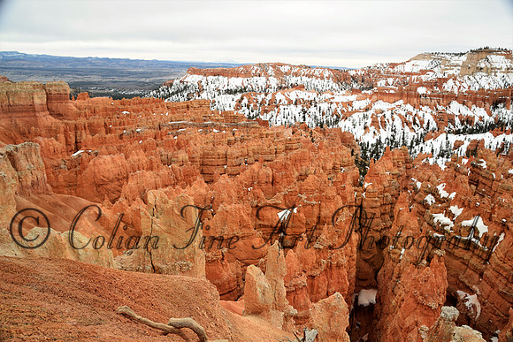 bryce-snow fx1_0297-d5300