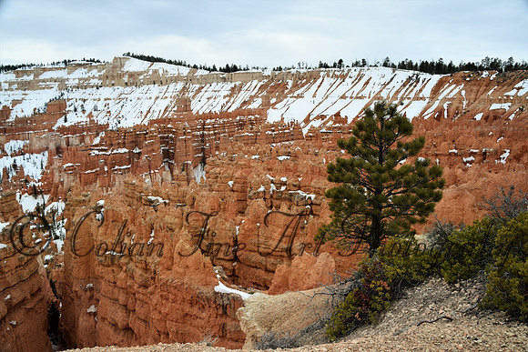 bryce-snow fx1_0303-d5300