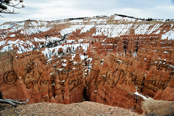 bryce-snow fx1_0308-d5300