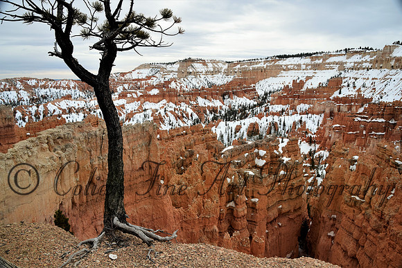 bryce-snow fx1_0309-d5300