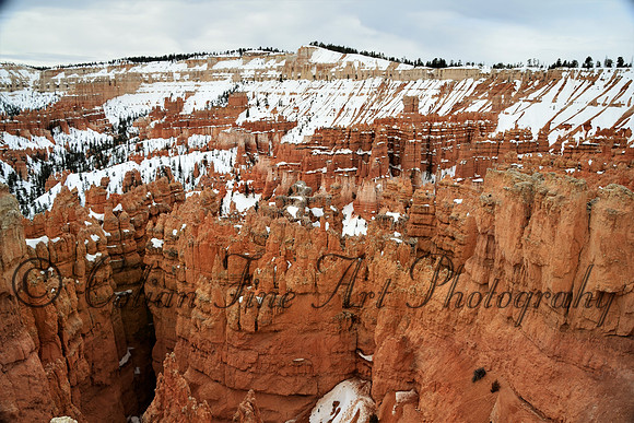 bryce-snow fx1_0314-d5300