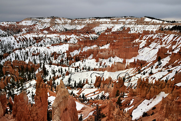 bryce-snow fx1_0320-d5300