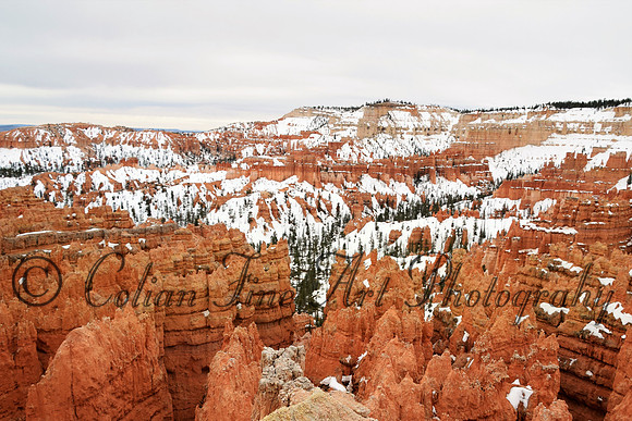 bryce-snow-fx1_0284-d5300