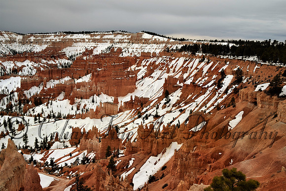 bryce-snow fx1_0316d5300