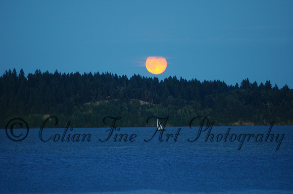 Moon rise & sailboat_0048