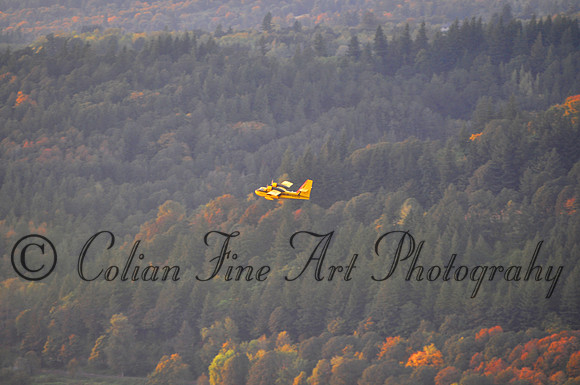 airplane_0172