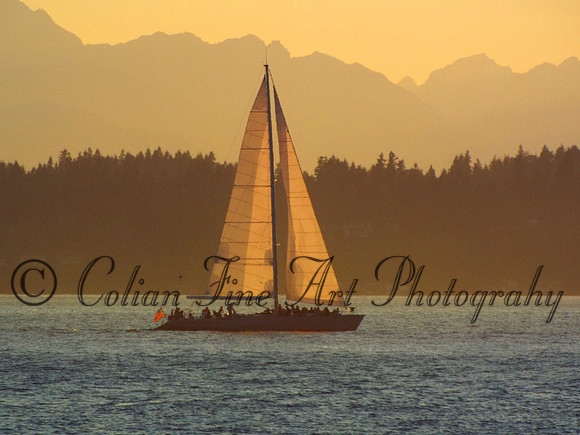 sailboat-westpoint-2588