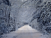 Frozen path-blue-DSCF1525 (2)